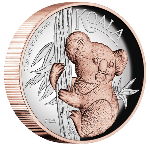 2024 $8 Koala 5oz Silver Rose Gold-Gilded High Relief Proof Coin