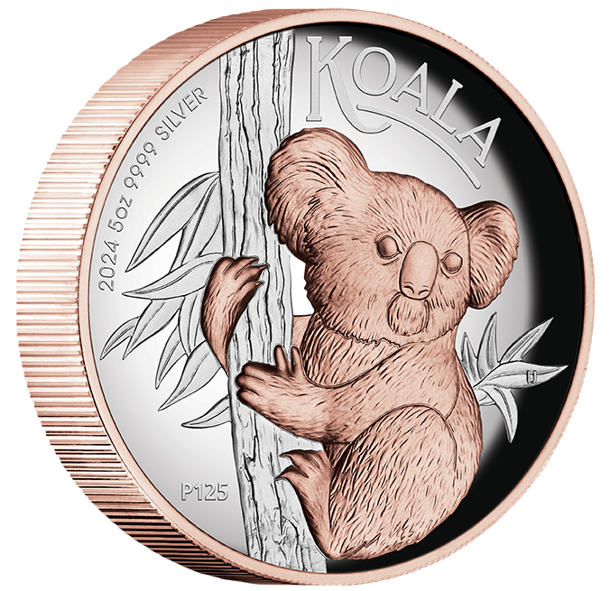 2024 $8 Koala 5oz Silver Rose Gold-Gilded High Relief Proof Coin