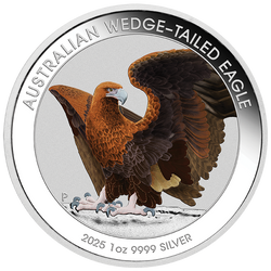 2025 $1 Wedge-Tailed Eagle 1oz Silver Coloured Coin