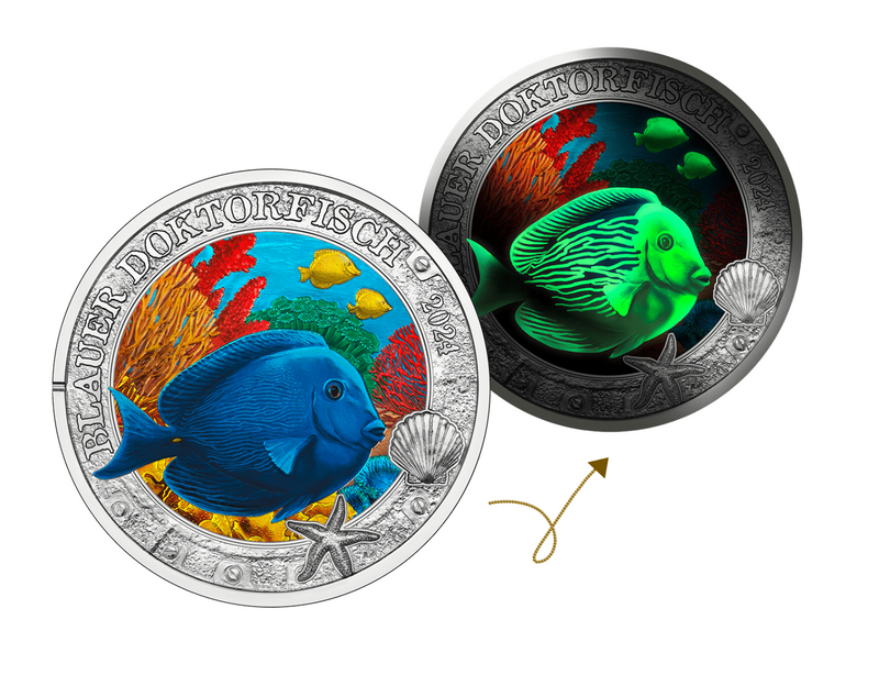 2024 €3 Luminous Marine Life Blue Doctorfish Brilliant Uncirculated Coin