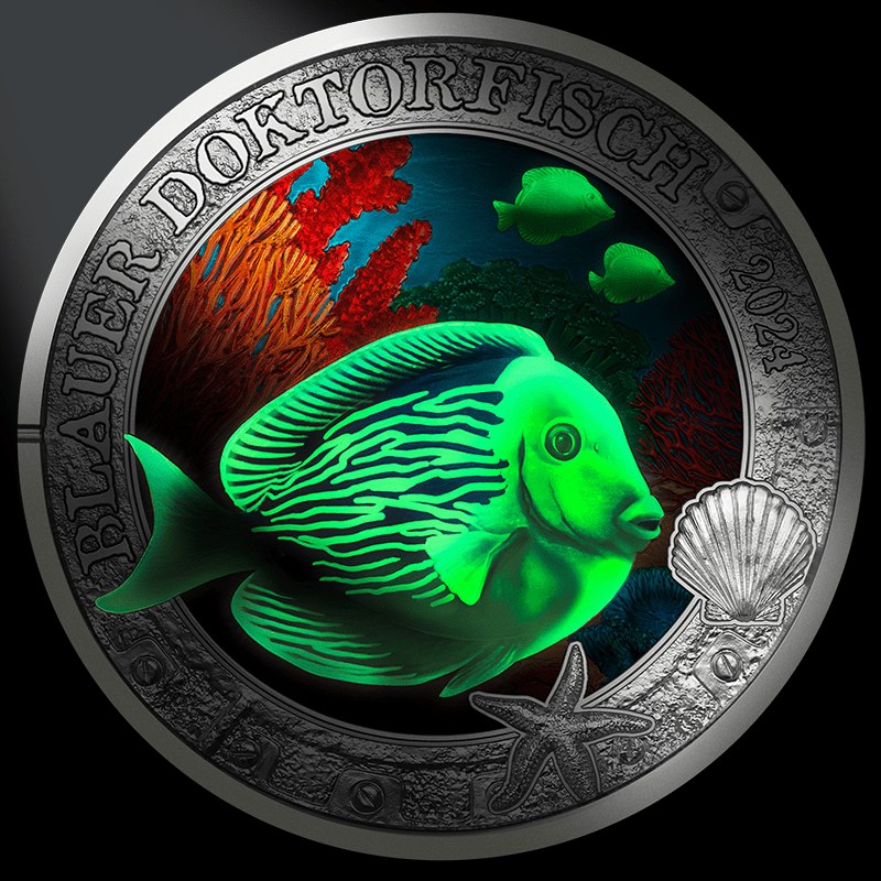 2024 €3 Luminous Marine Life Blue Doctorfish Brilliant Uncirculated Coin