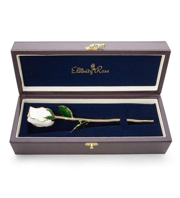 Eternity Rose - White Rose in Leather Case